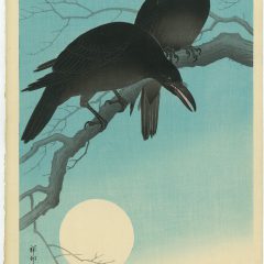 Crows in a Moonlight Night