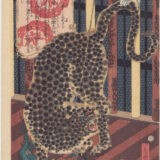 豹