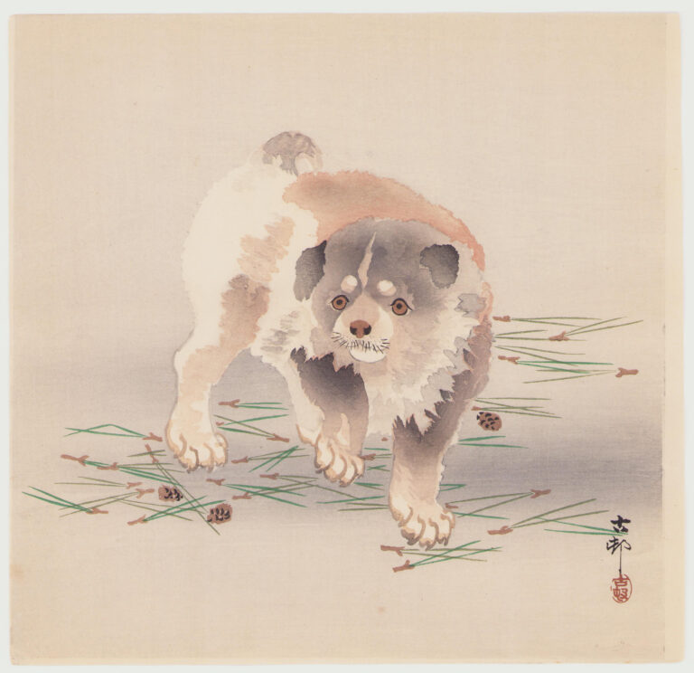 子犬
