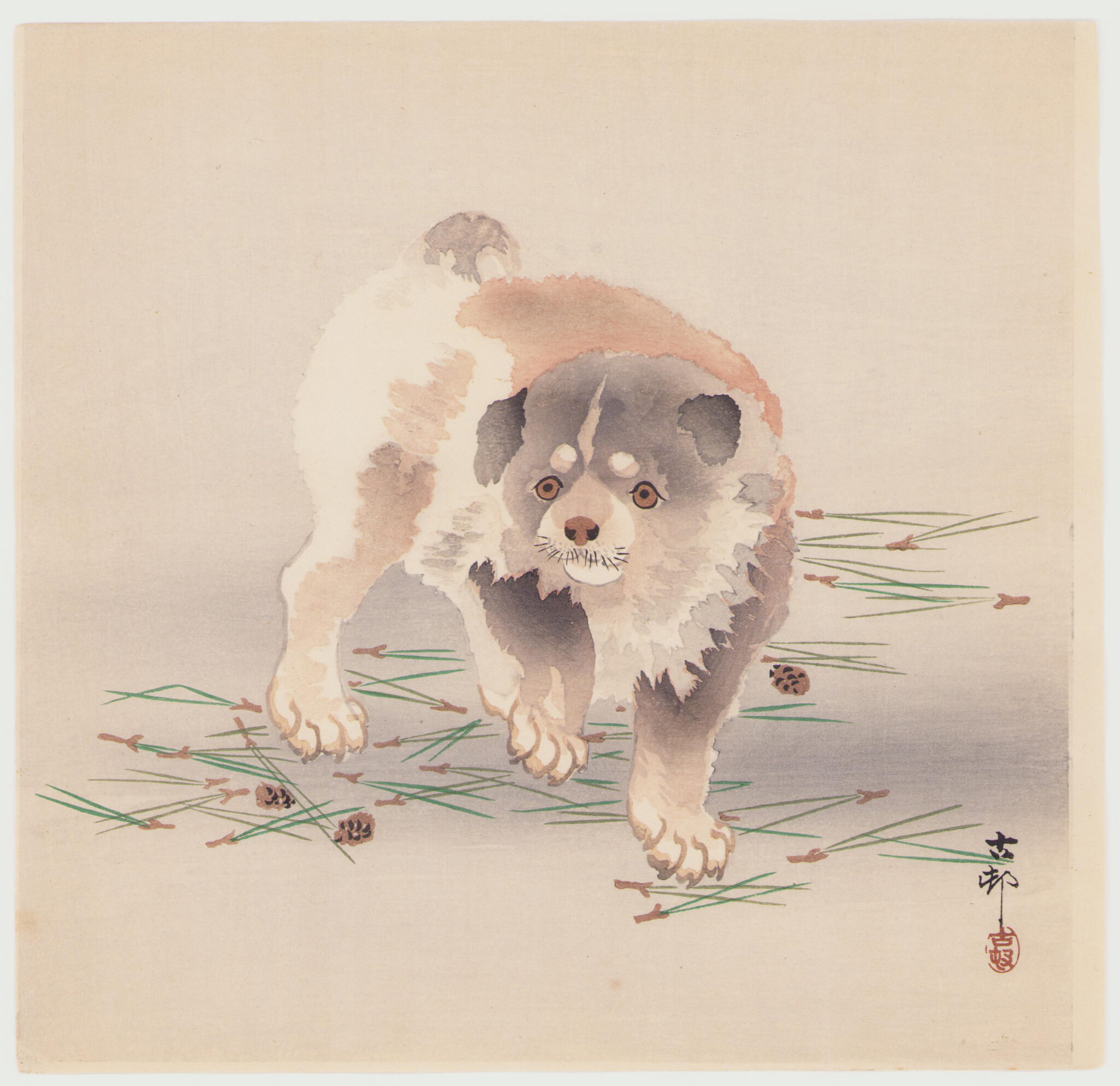 子犬