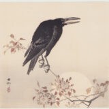 Crow and Full Moon