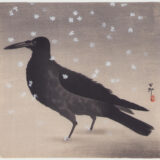 雪に烏